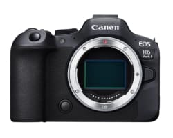 Canon ミラーレス一眼カメラ EOS R6